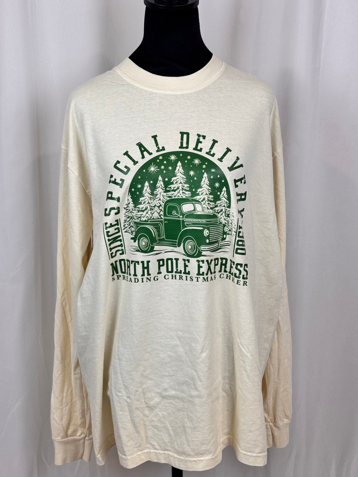 Christmas Long Sleeve T-shirt, Classic Truck, Special Delivery, Comfort Colors Tee, North Pole Express, Holiday Apparel, Seasonal Tops