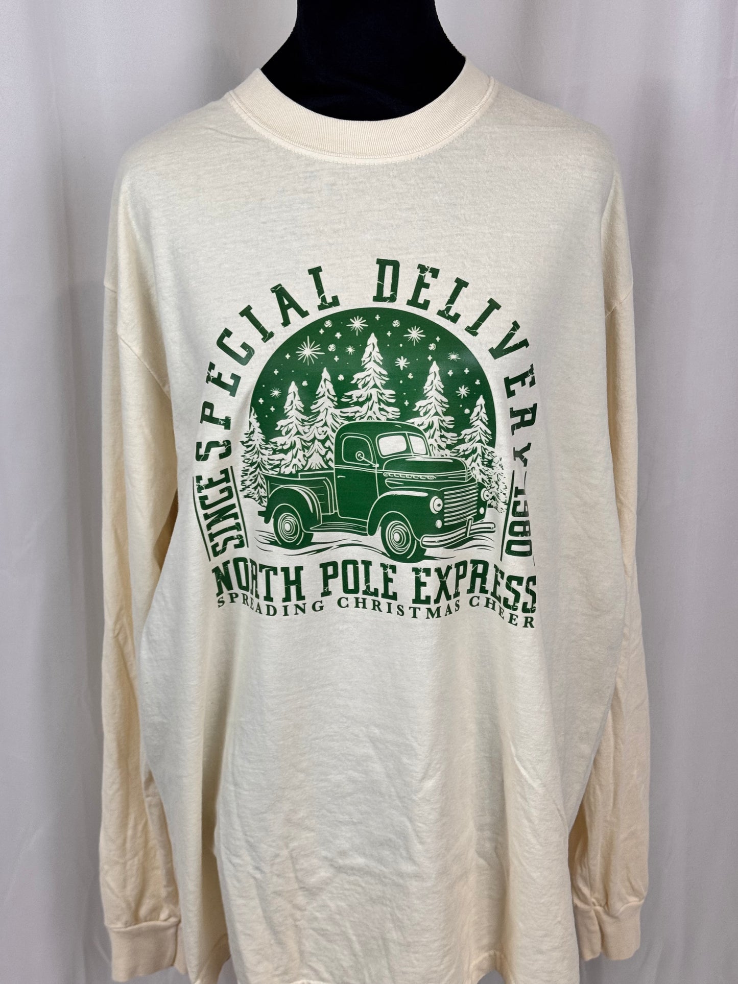 Christmas Long Sleeve T-shirt, Classic Truck, Special Delivery, Comfort Colors Tee, North Pole Express, Holiday Apparel, Seasonal Tops