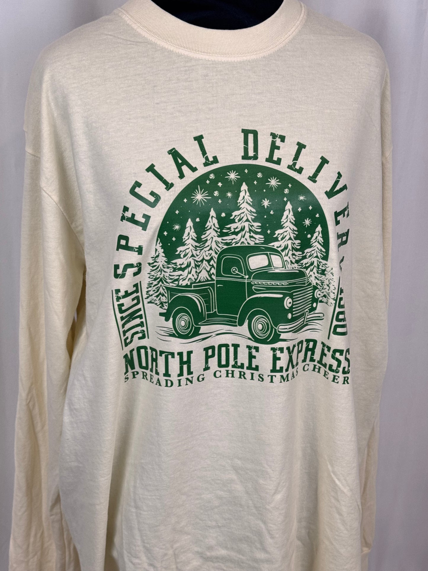 Christmas Long Sleeve T-shirt, Classic Truck, Special Delivery, Comfort Colors Tee, North Pole Express, Holiday Apparel, Seasonal Tops