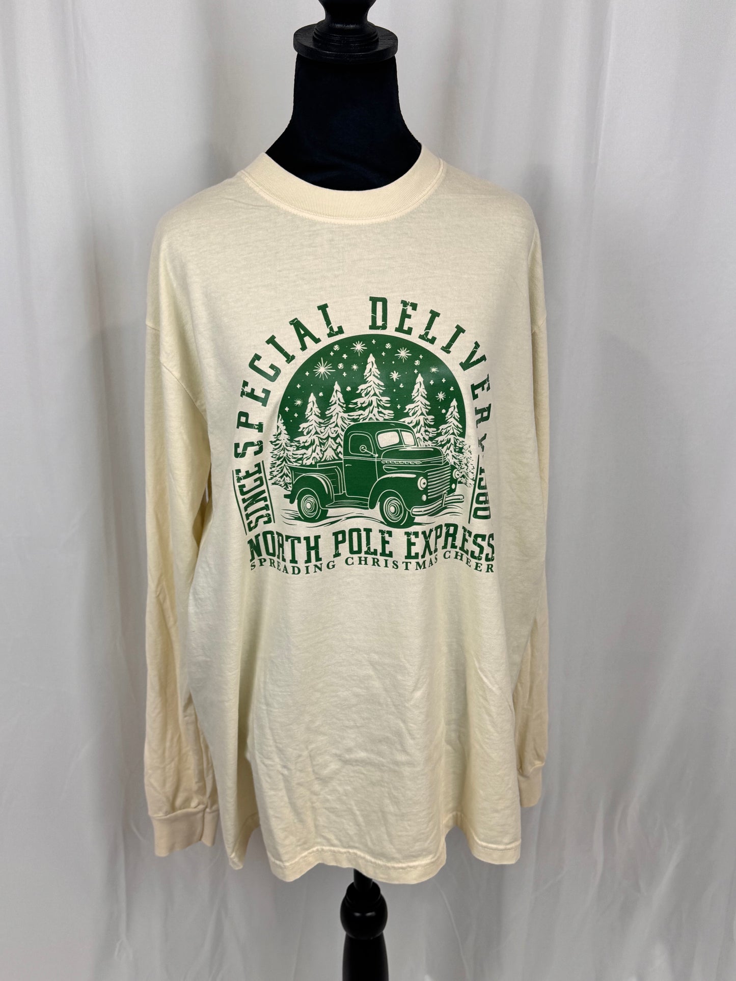 Christmas Long Sleeve T-shirt, Classic Truck, Special Delivery, Comfort Colors Tee, North Pole Express, Holiday Apparel, Seasonal Tops