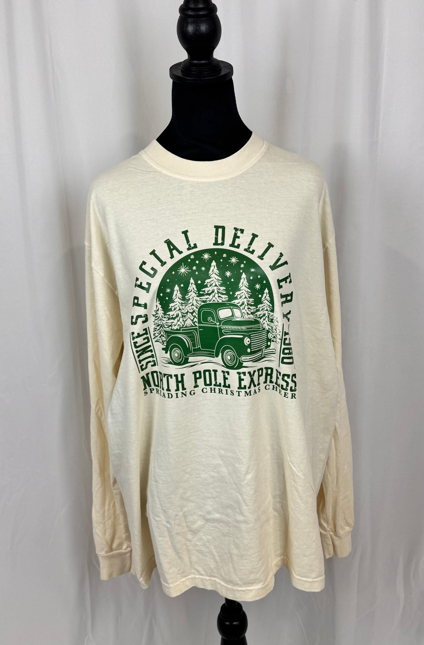 Christmas Long Sleeve T-shirt, Classic Truck, Special Delivery, Comfort Colors Tee, North Pole Express, Holiday Apparel, Seasonal Tops