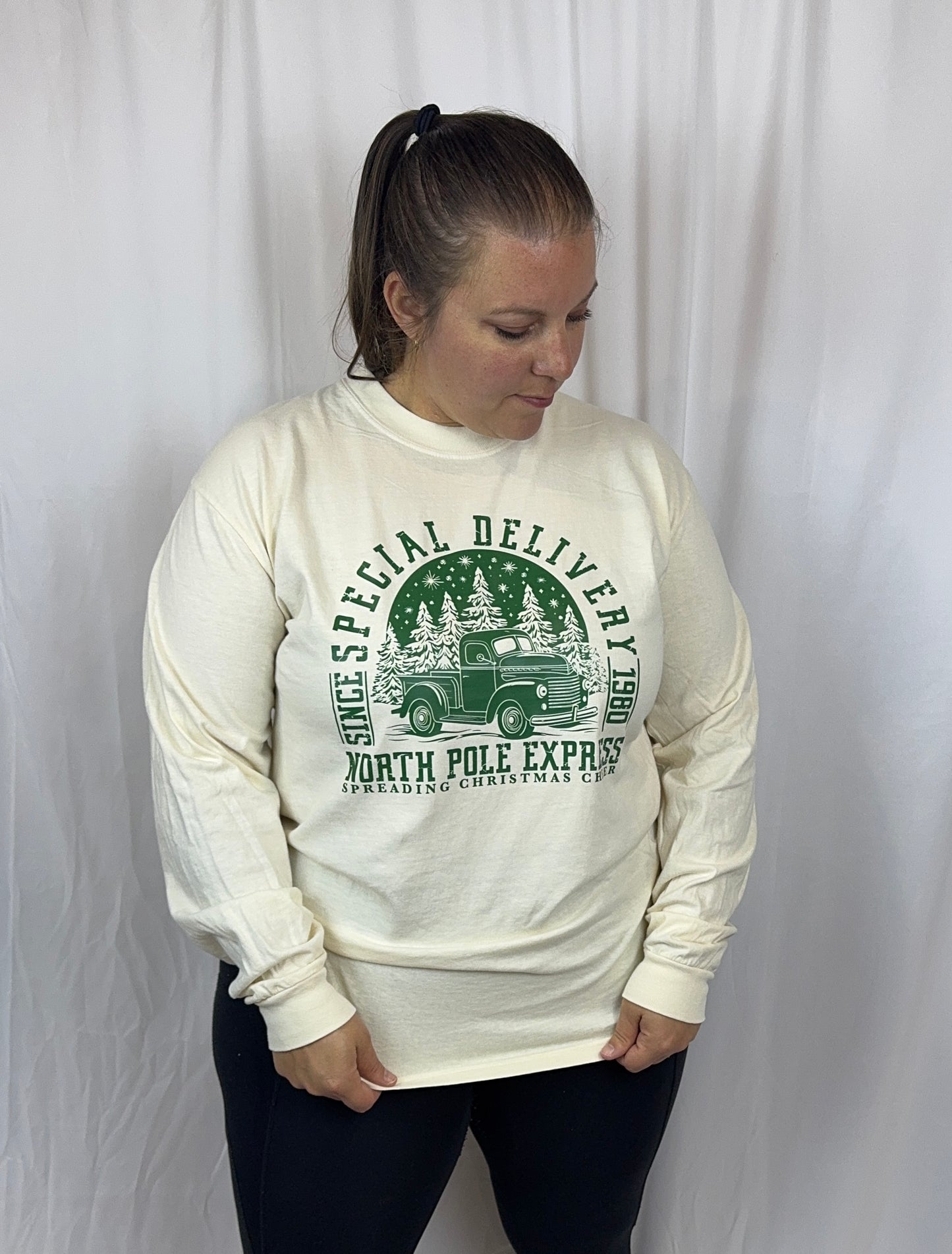 Christmas Long Sleeve T-shirt, Classic Truck, Special Delivery, Comfort Colors Tee, North Pole Express, Holiday Apparel, Seasonal Tops