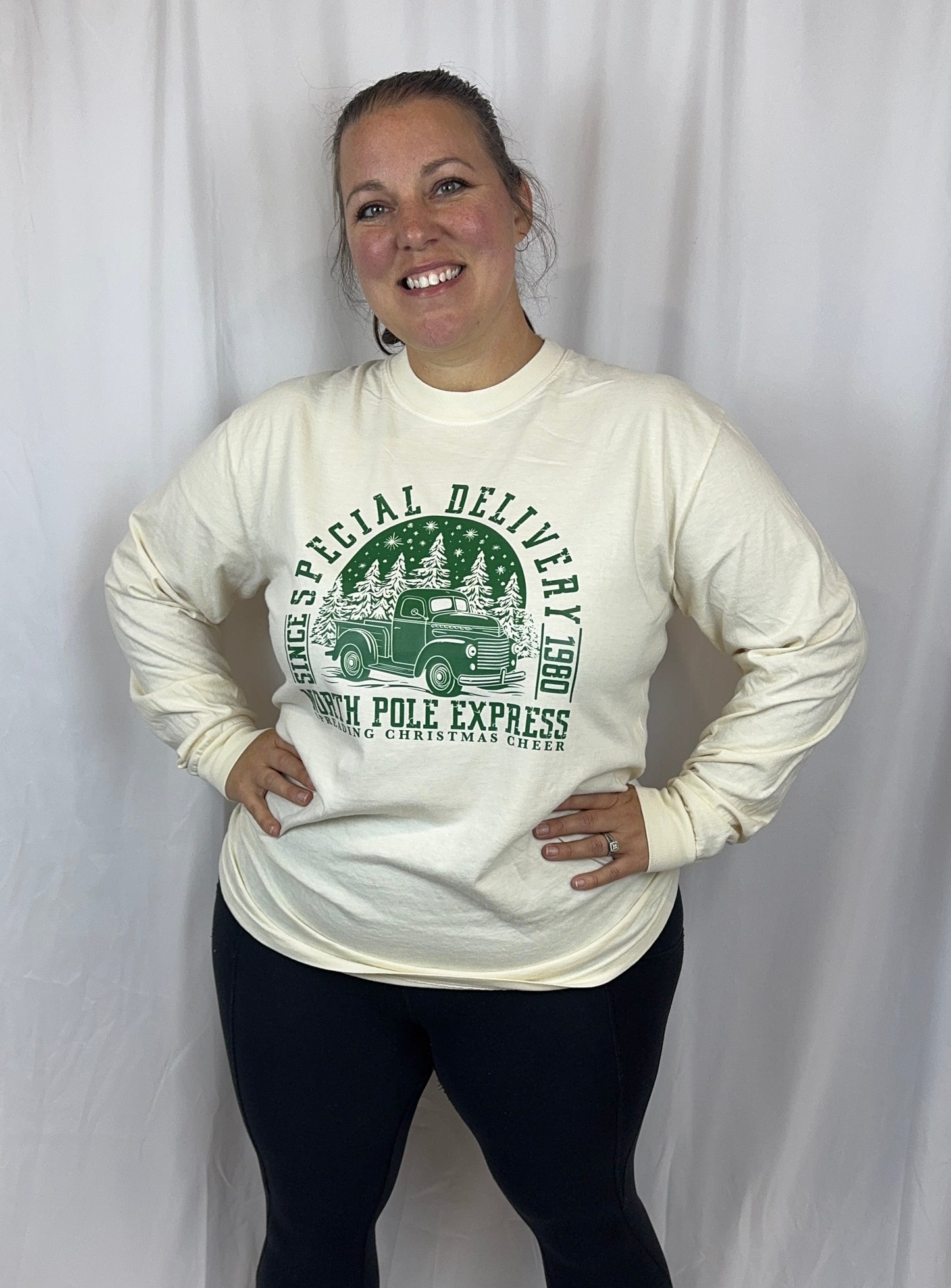 Christmas Long Sleeve T-shirt, Classic Truck, Special Delivery, Comfort Colors Tee, North Pole Express, Holiday Apparel, Seasonal Tops