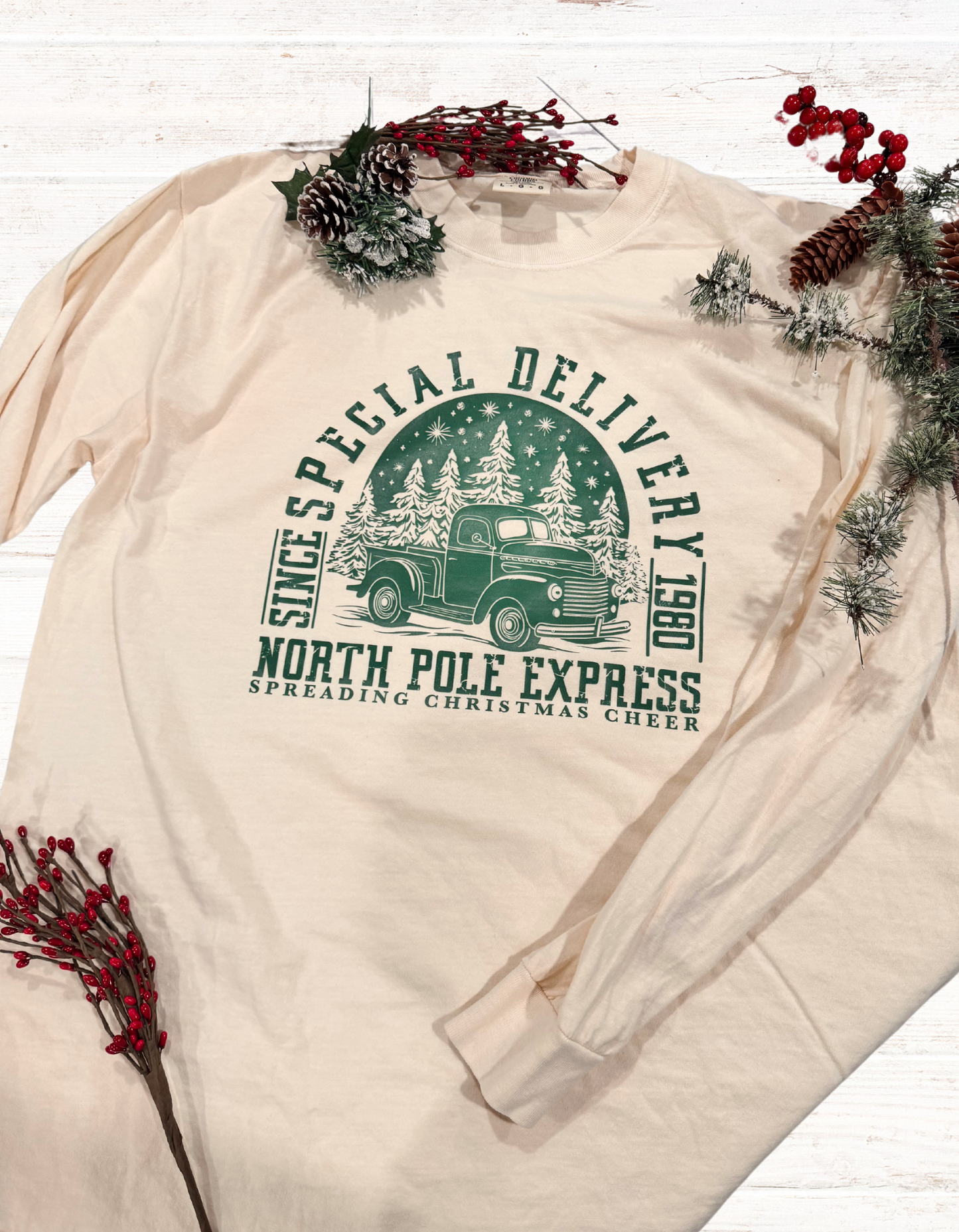 Christmas Long Sleeve T-shirt, Classic Truck, Special Delivery, Comfort Colors Tee, North Pole Express, Holiday Apparel, Seasonal Tops