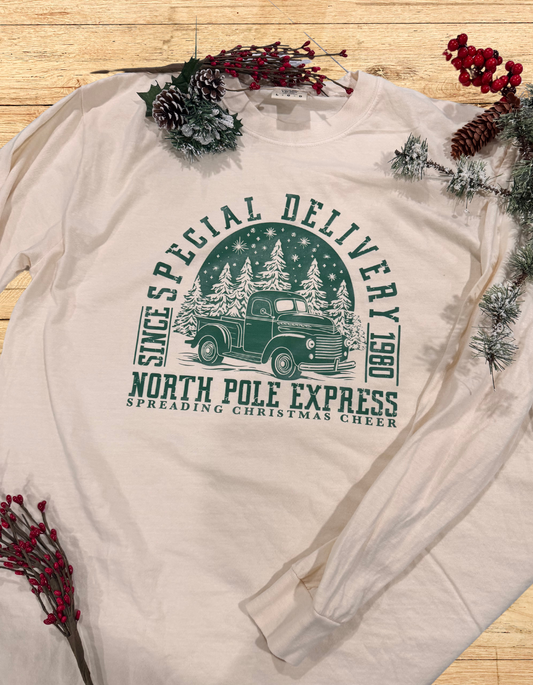 Christmas Long Sleeve T-shirt, Classic Truck, Special Delivery, Comfort Colors Tee, North Pole Express, Holiday Apparel, Seasonal Tops