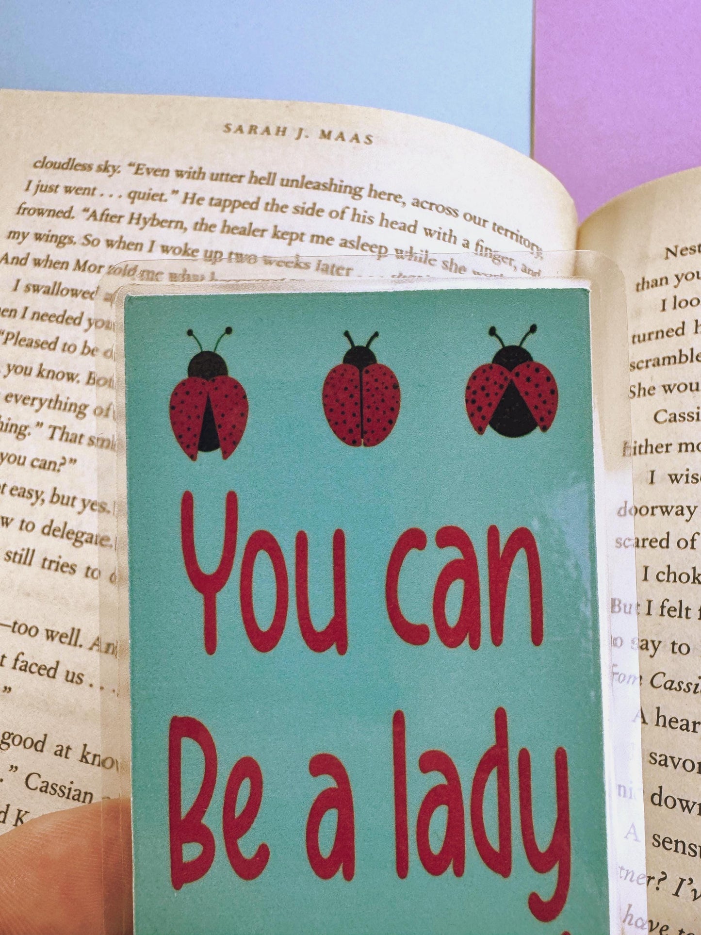 Sassy Bookmark For Ladies, Ladybug Book Accessory For Romance Readers