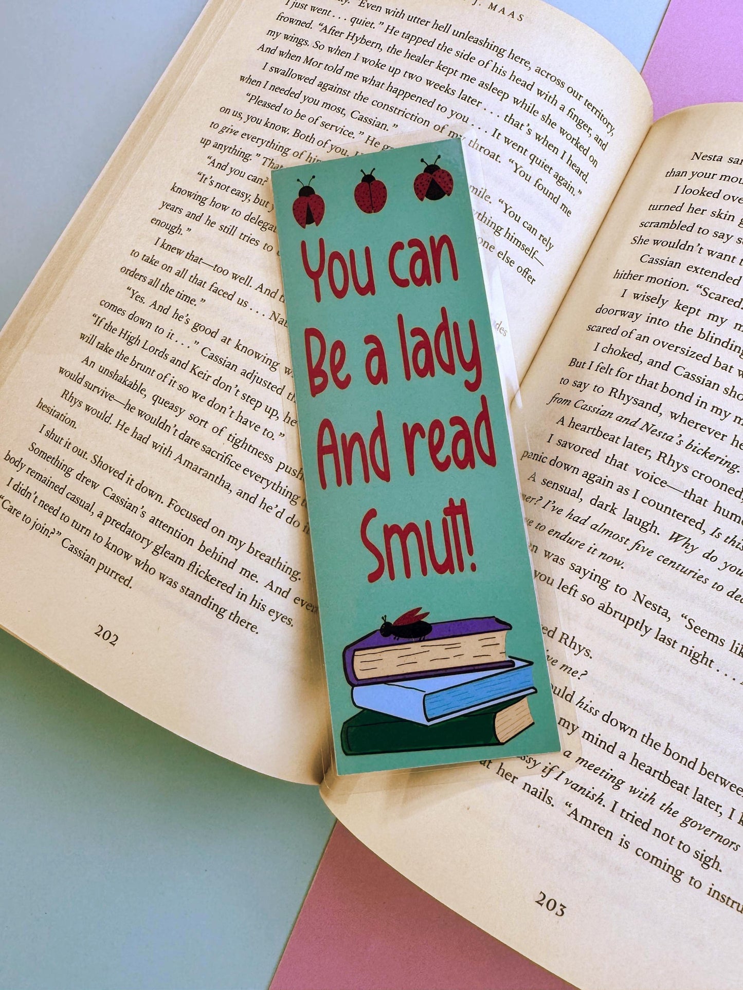 Sassy Bookmark For Ladies, Ladybug Book Accessory For Romance Readers