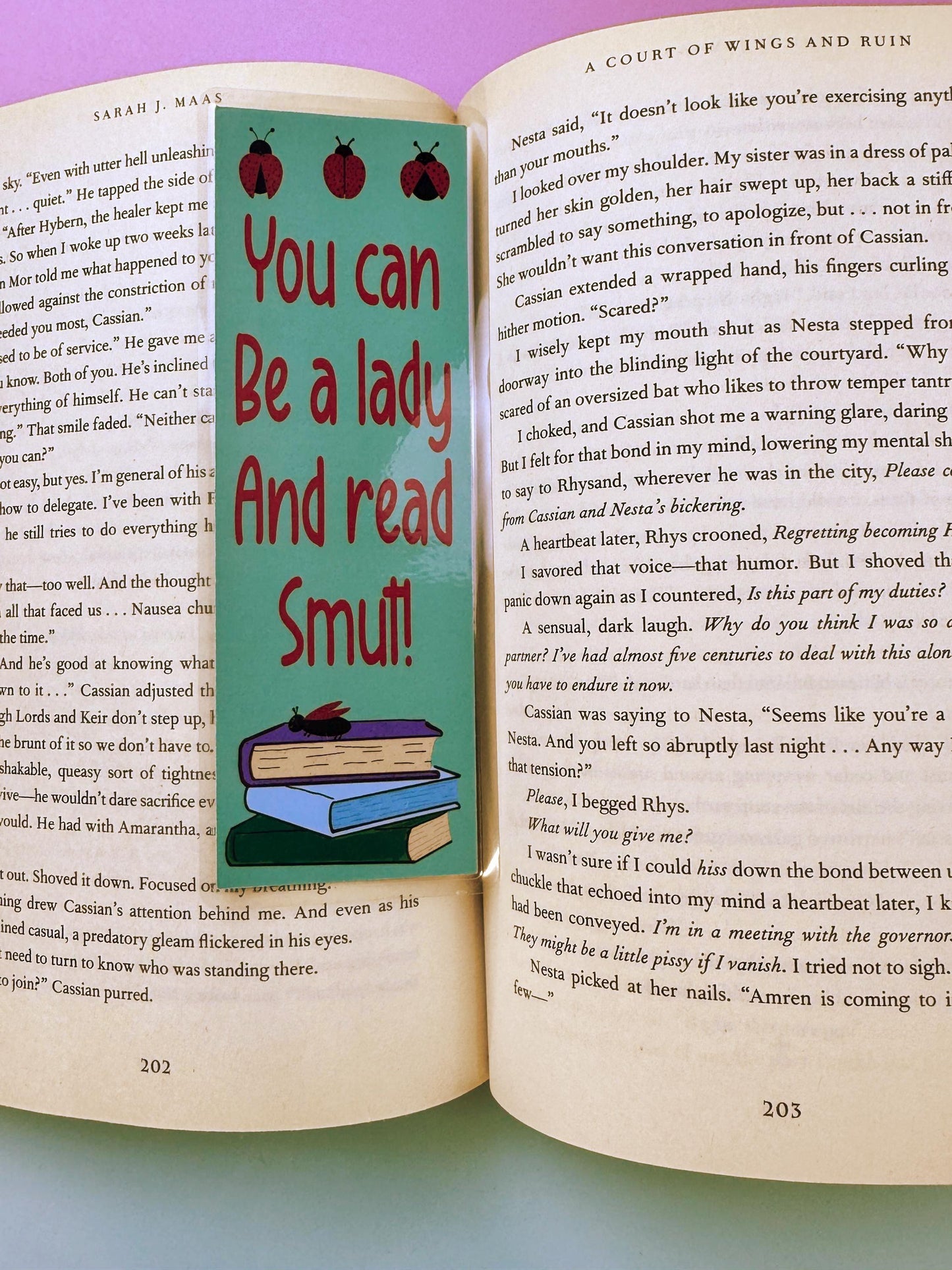 Sassy Bookmark For Ladies, Ladybug Book Accessory For Romance Readers