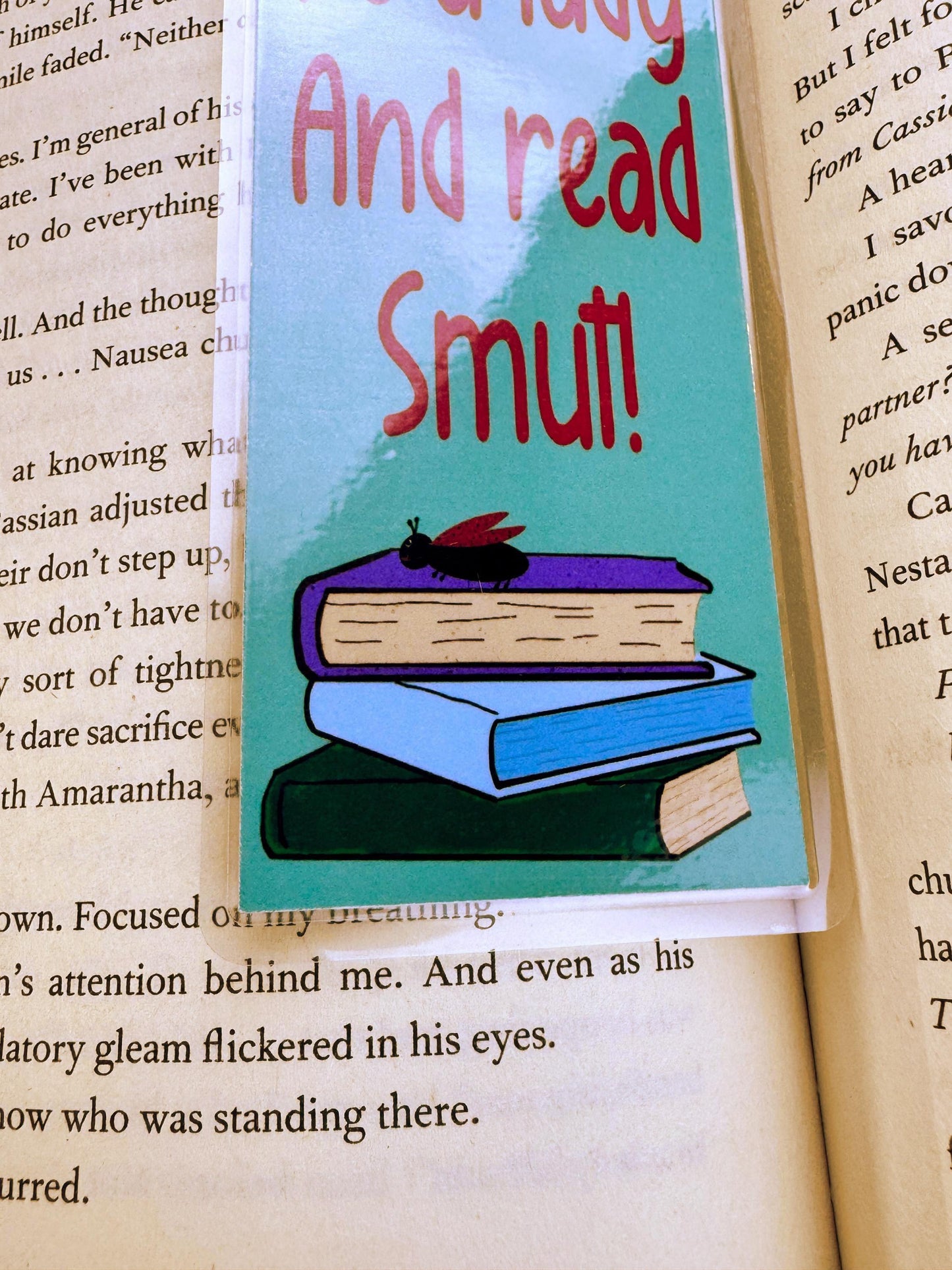 Sassy Bookmark For Ladies, Ladybug Book Accessory For Romance Readers