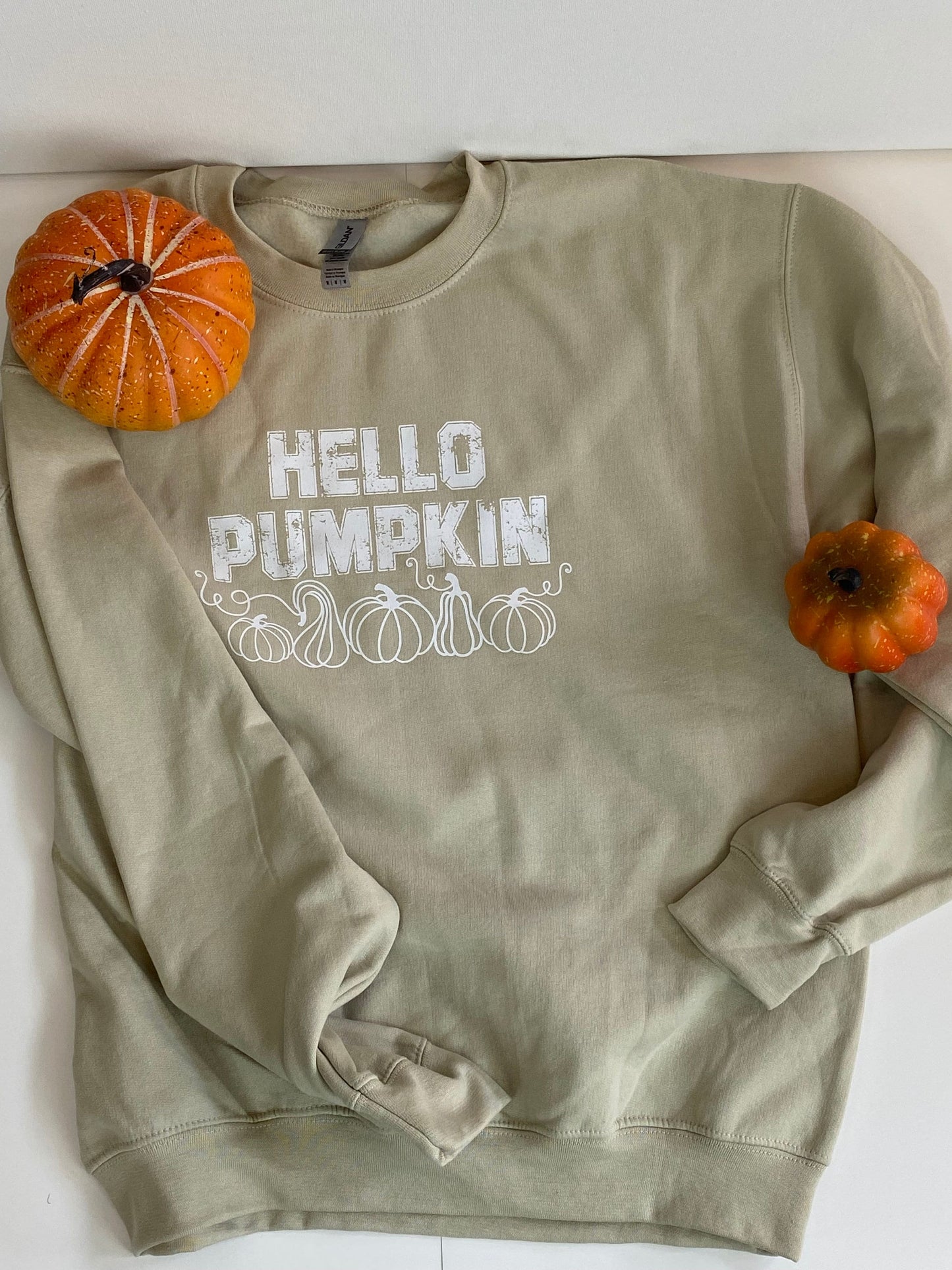Hello Pumpkin Sweatshirt for Fall Apparel